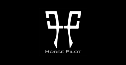 Horse pilot etement equitation